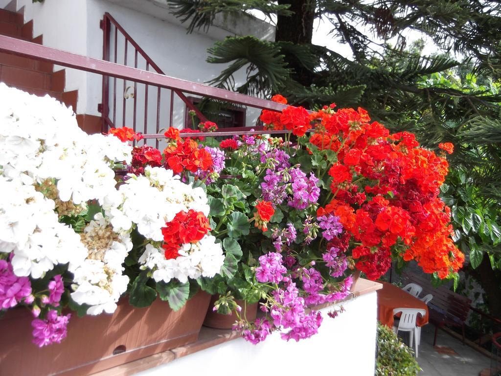 Casavacanzeinsicilia Etna Taormina Villa Piedimonte Etneo Kamer foto