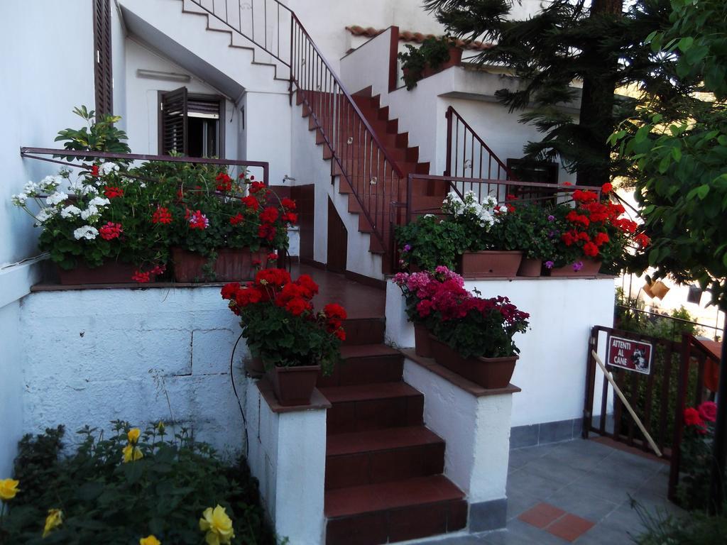 Casavacanzeinsicilia Etna Taormina Villa Piedimonte Etneo Buitenkant foto
